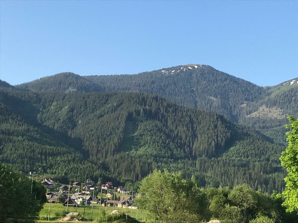 Hallstatt Dachstein Inn 格绍 外观 照片
