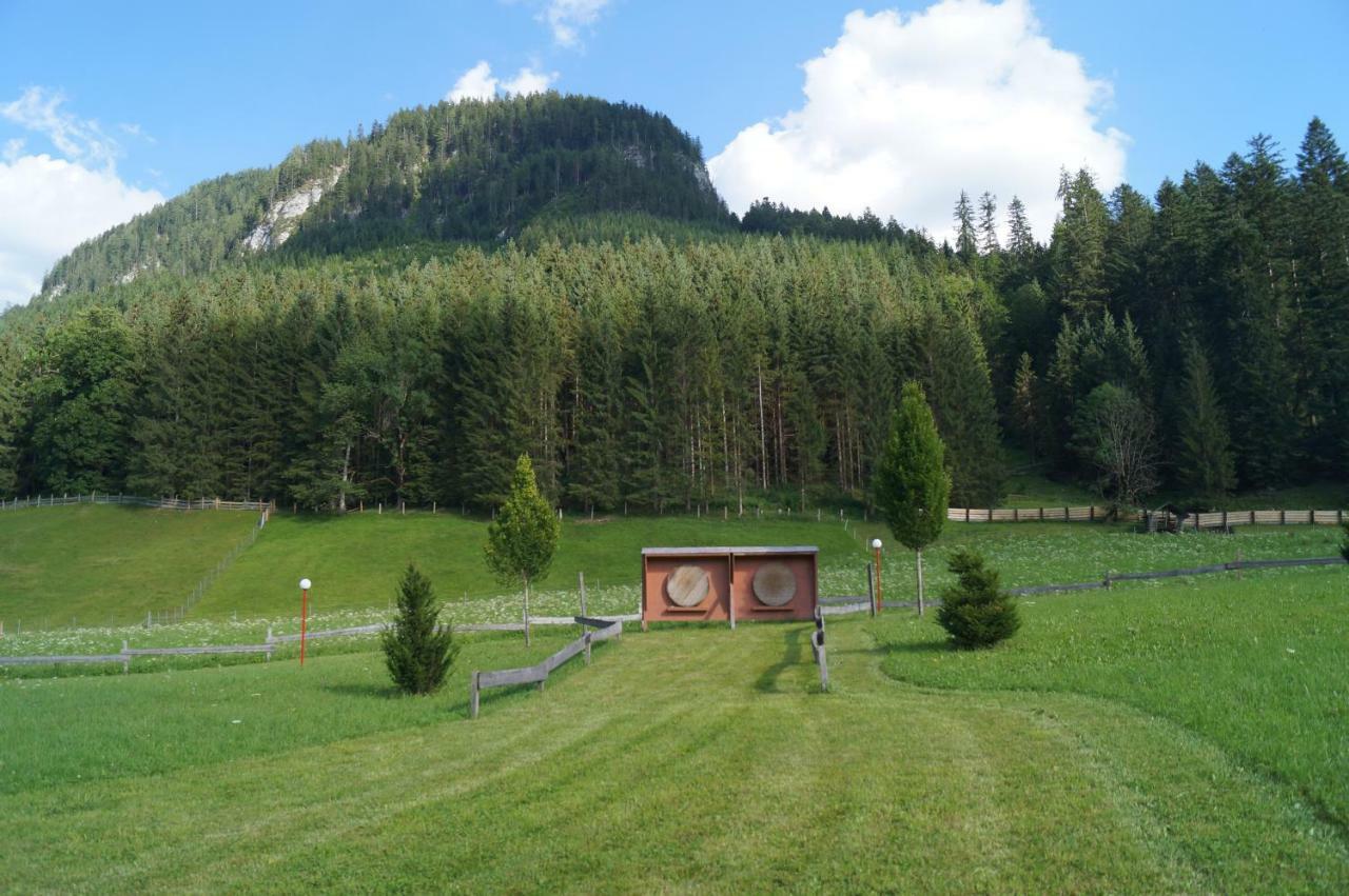Hallstatt Dachstein Inn 格绍 外观 照片
