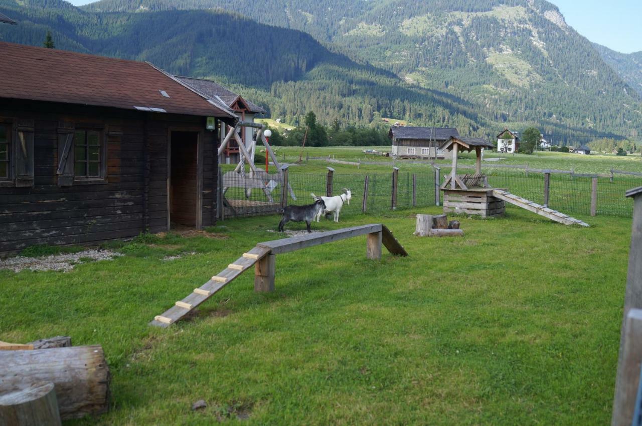 Hallstatt Dachstein Inn 格绍 外观 照片